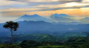Mengenal Lebih Dekat Keindahan Gunung Halimun: Surga Tersembunyi di Tengah Hutan Jawa
