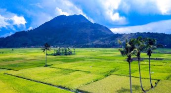 Gunung Haruman: Pesona Alam yang Menyegarkan di Tengah Hutan Jawa