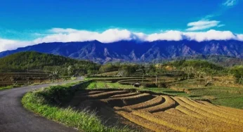 Mengenal Lebih Dekat Gunung Kumbang: Keindahan Alam yang Menakjubkan di Indonesia