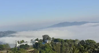 Mengenal Lebih Dekat Gunung Liangpahang: Surga Tersembunyi di Tengah Hutan Indonesia