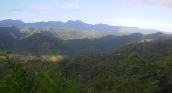 Nikmati Keahan Alam di Gunung Pelatang: Destinasi Wisata Tersembunyi di Indonesia