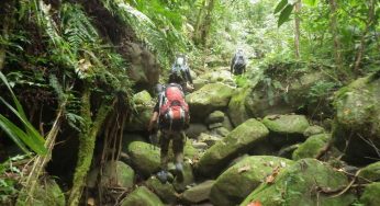 Nikmati Keindahan Alam di Gunung Yile-Yile: Destinasi Wisata Tersembunyi di Indonesia