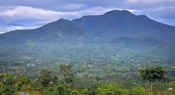 Menikmati Keindahan Alam di Gunung Pesagi: Pesona Alam yang Tak Terlupakan